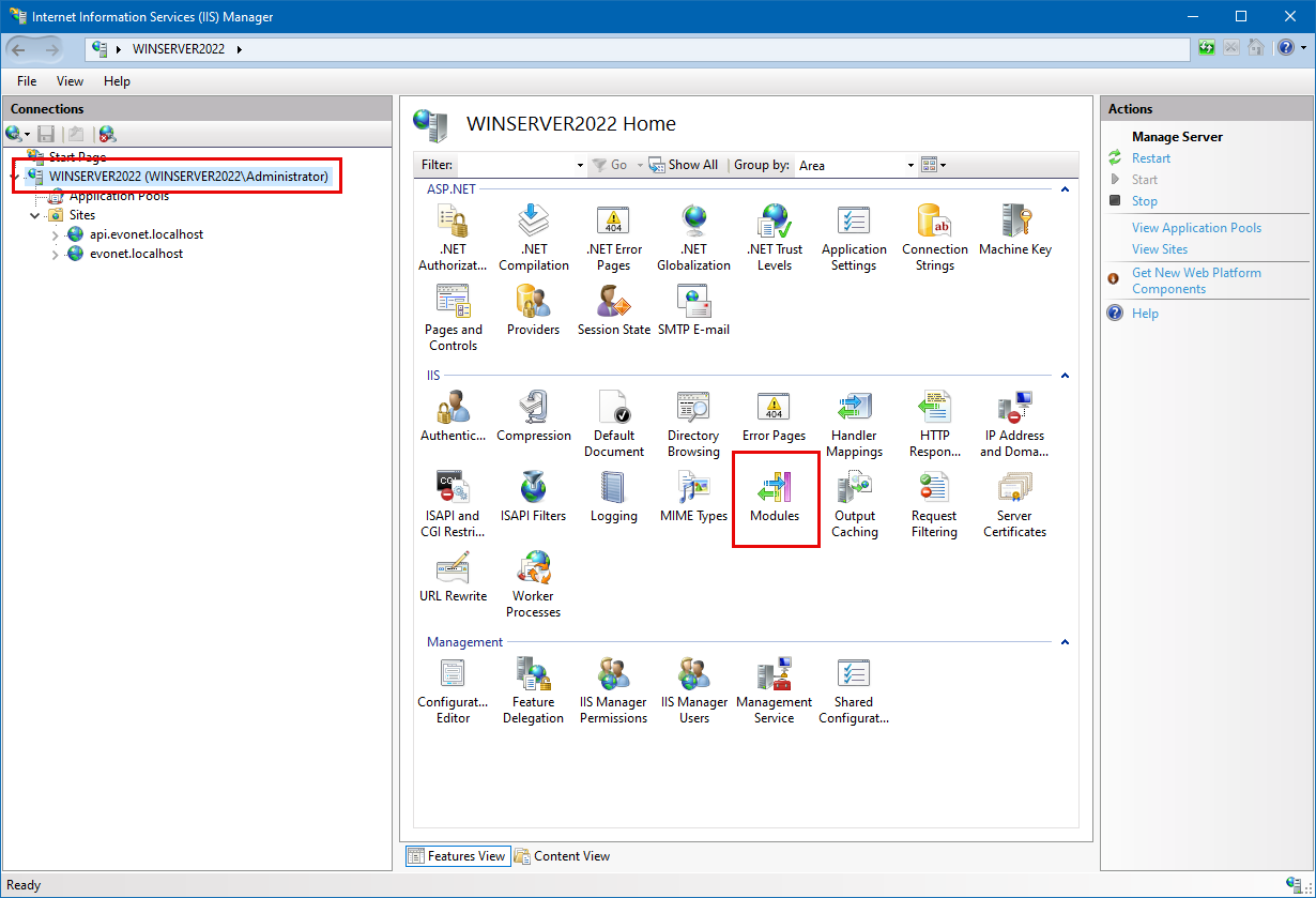 IIS Server Node