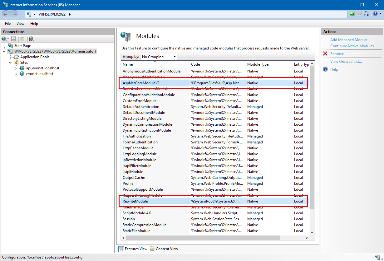 IIS Server Modules