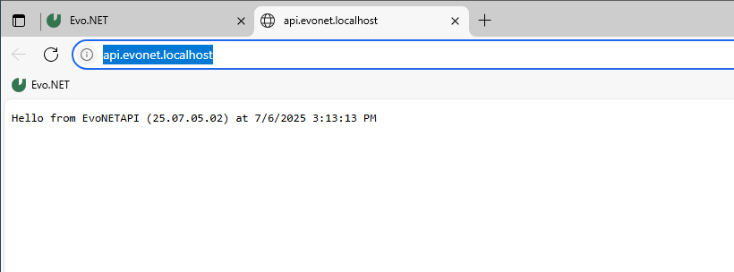 API Response