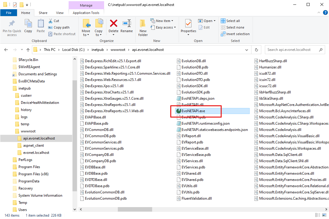 API Executable